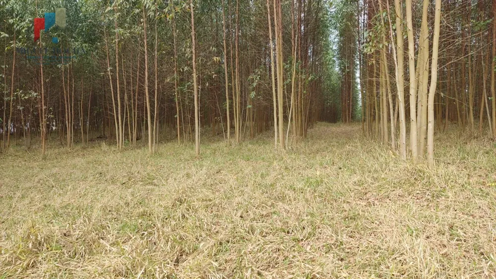 Chácara, 1 quarto, 6 hectares - Foto 3