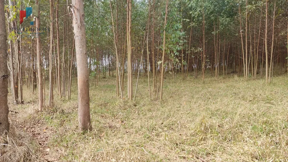 Chácara, 1 quarto, 6 hectares - Foto 1