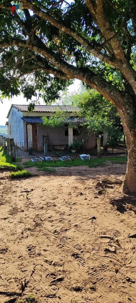 Sítio, 2 quartos, 12 hectares - Foto 3