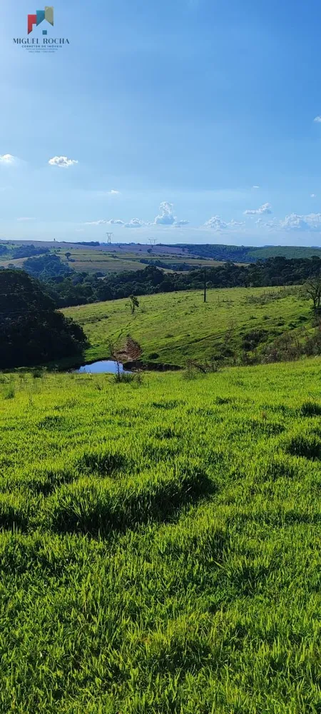 Chácara, 2 quartos, 12 hectares - Foto 1