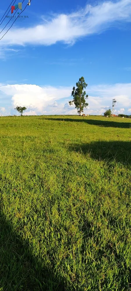 Sítio, 2 quartos, 12 hectares - Foto 13