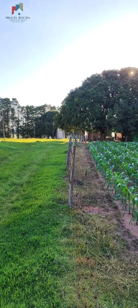 Chácara, 2 quartos, 12 hectares - Foto 4