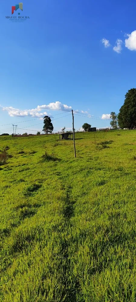 Sítio, 2 quartos, 12 hectares - Foto 10