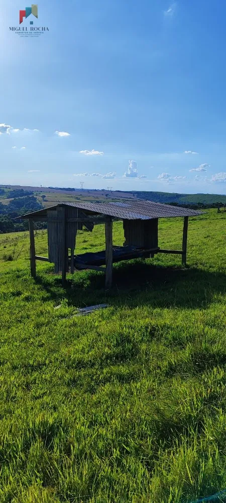 Sítio, 2 quartos, 12 hectares - Foto 7