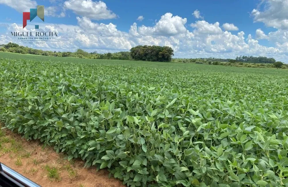 Fazenda, 581 hectares - Foto 2