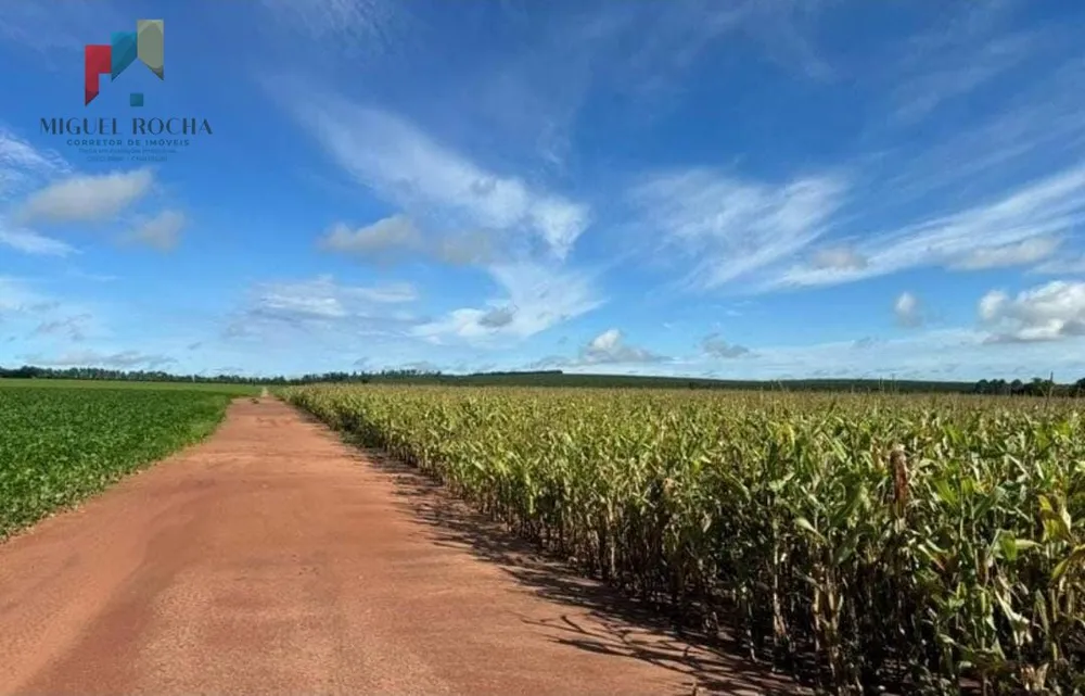 Fazenda, 581 hectares - Foto 5