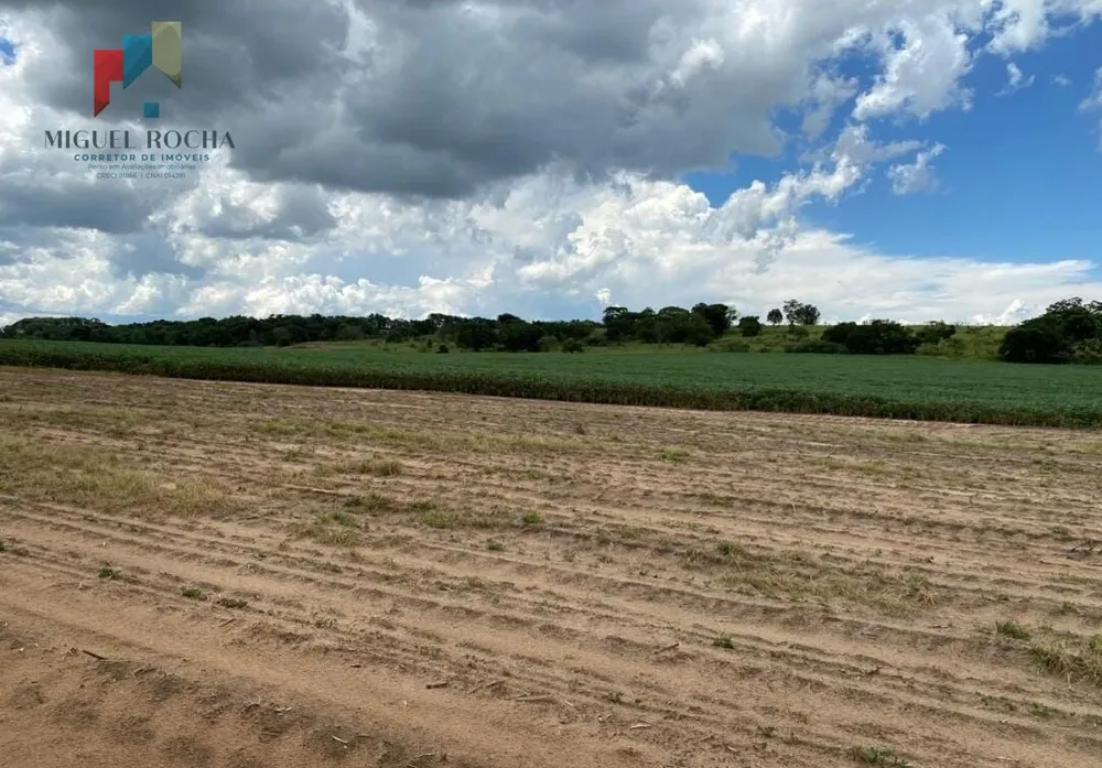 Fazenda, 581 hectares - Foto 4