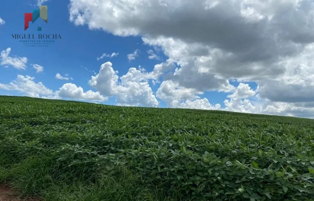 Fazenda, 581 hectares - Foto 1