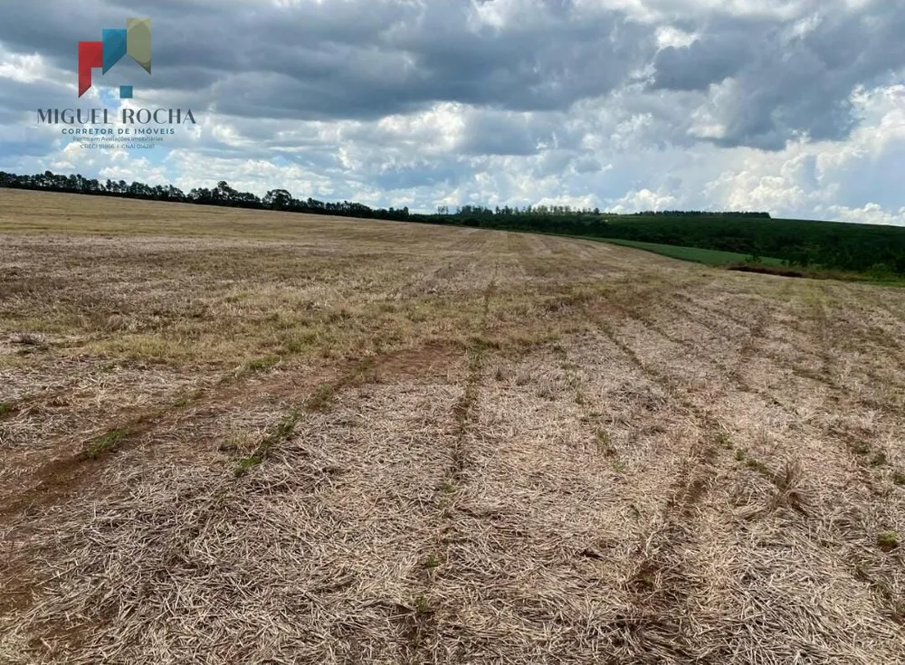 Fazenda, 581 hectares - Foto 16