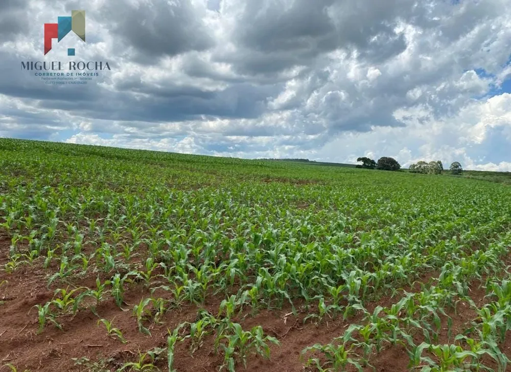 Fazenda, 581 hectares - Foto 6