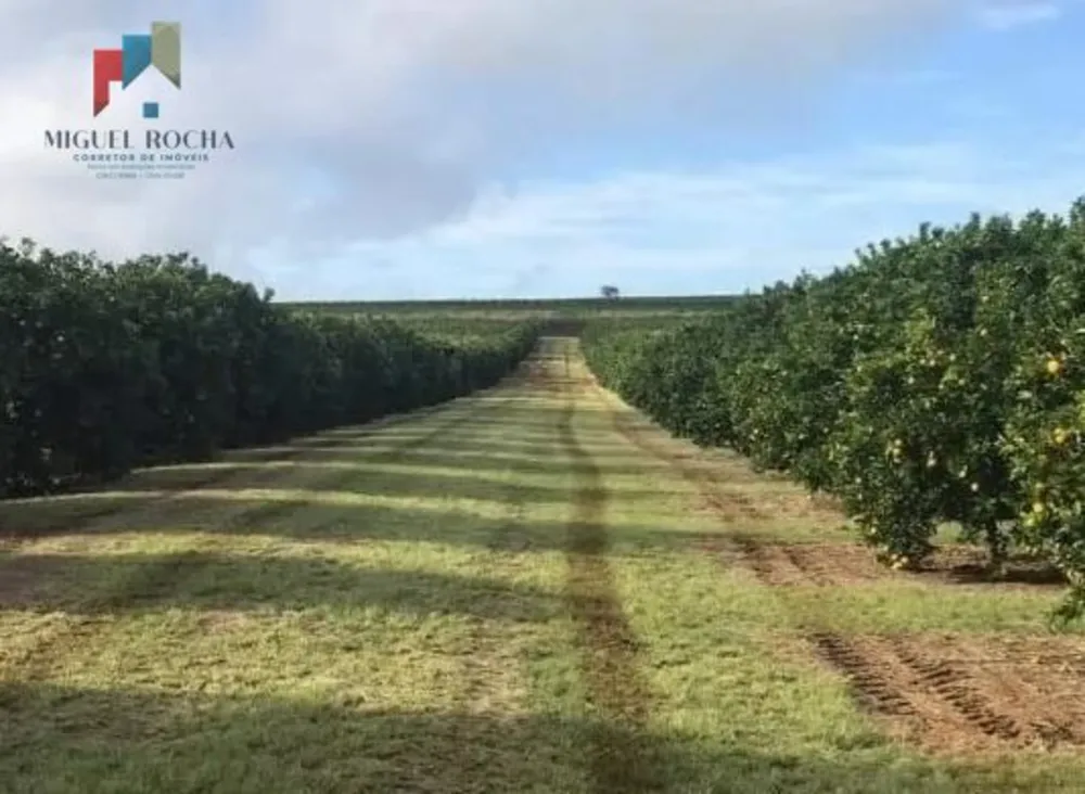Fazenda, 847 hectares - Foto 7