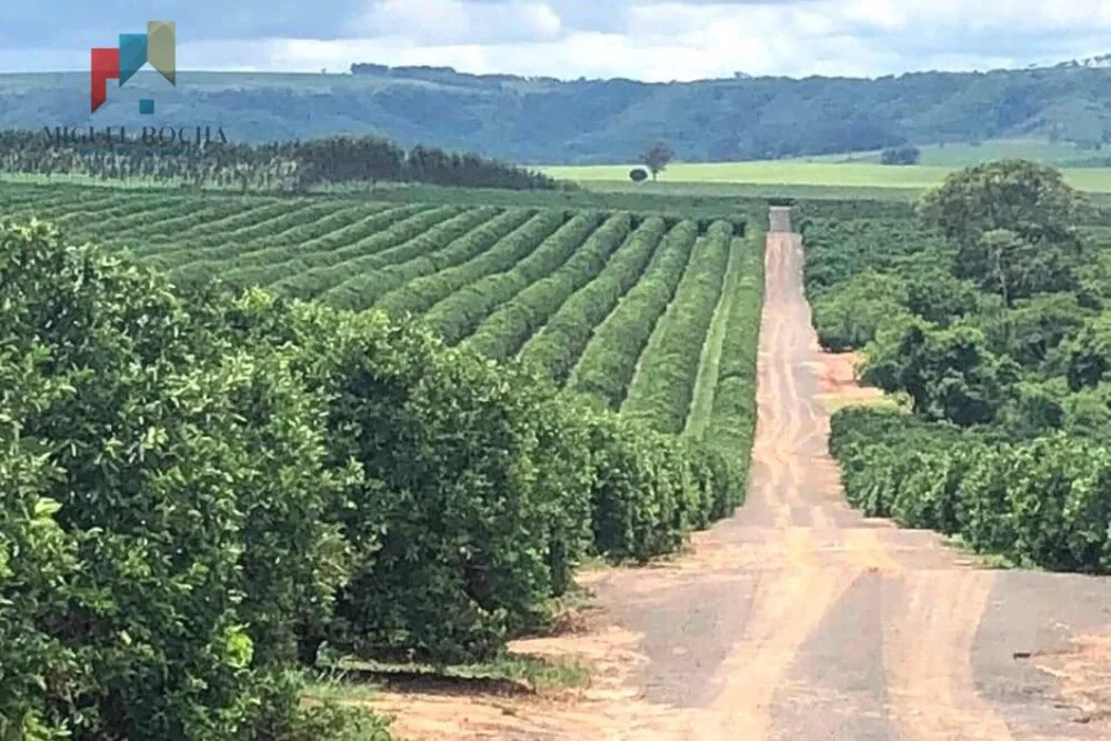 Fazenda, 847 hectares - Foto 5