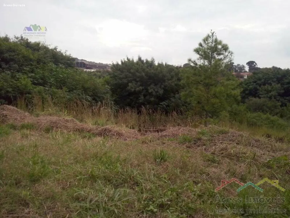 Terreno, 3 hectares - Foto 6