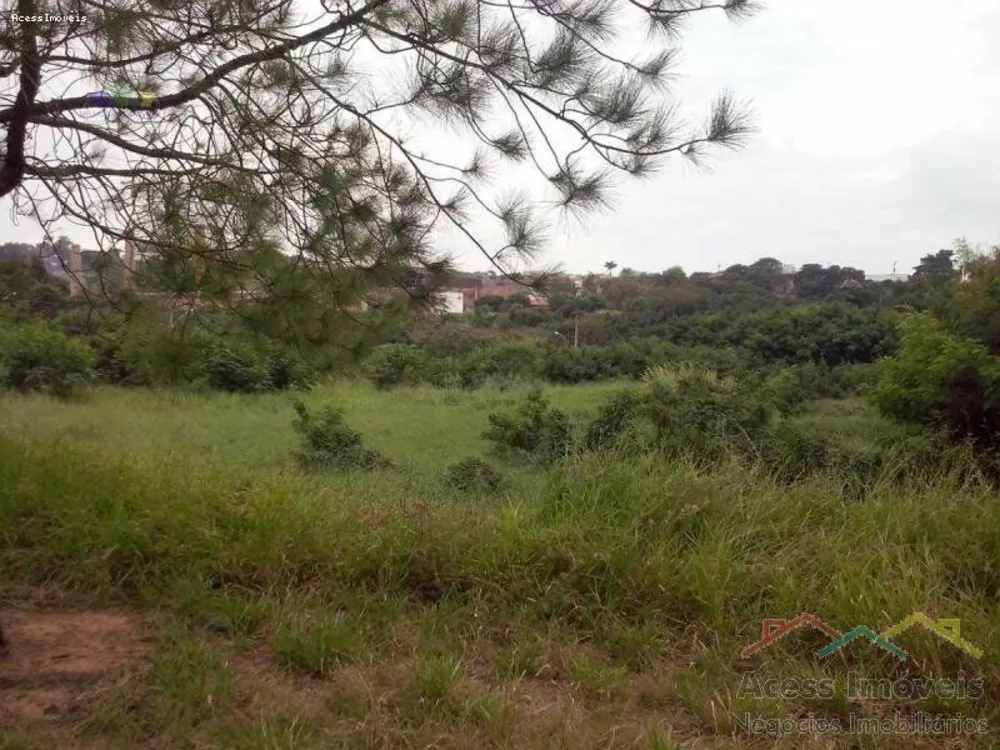 Terreno, 3 hectares - Foto 3