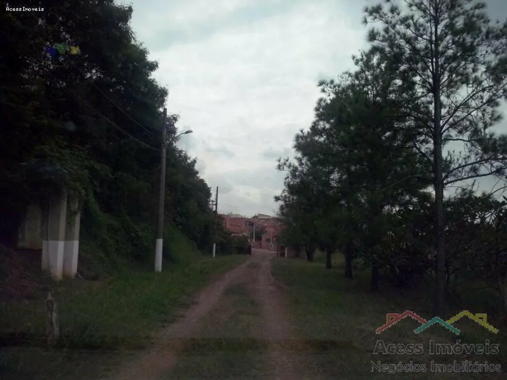 Terreno, 3 hectares - Foto 2