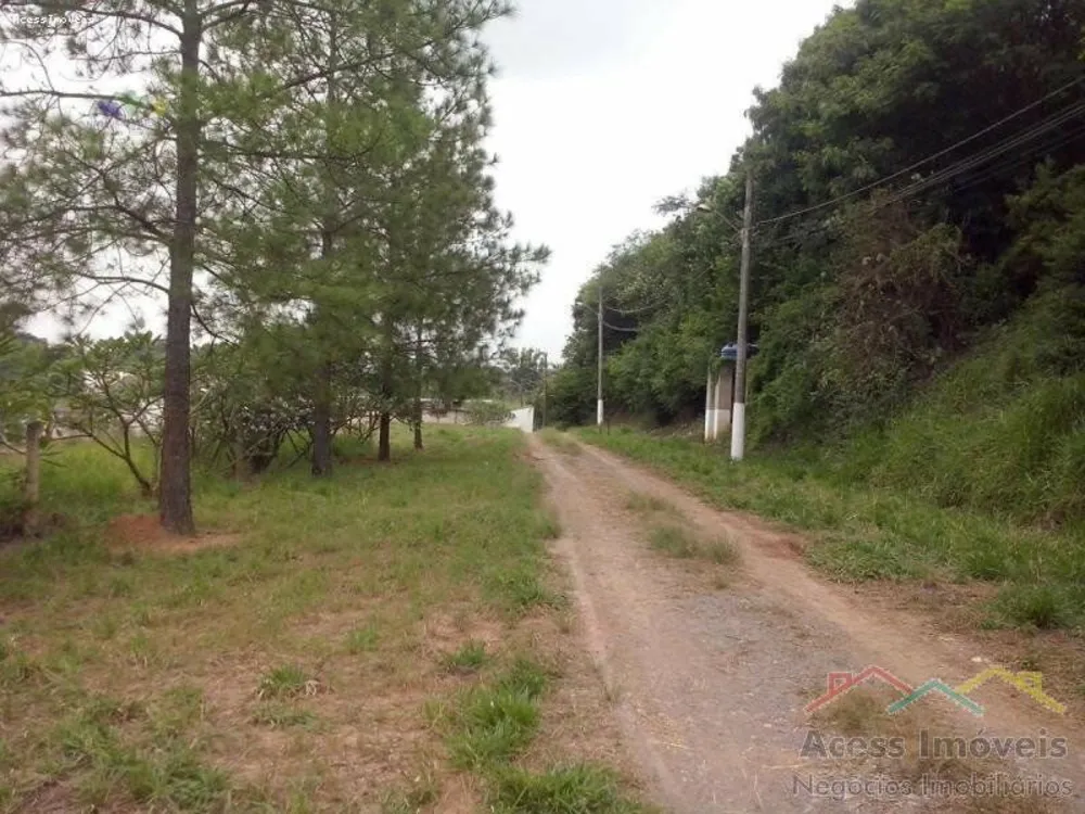 Terreno, 3 hectares - Foto 4
