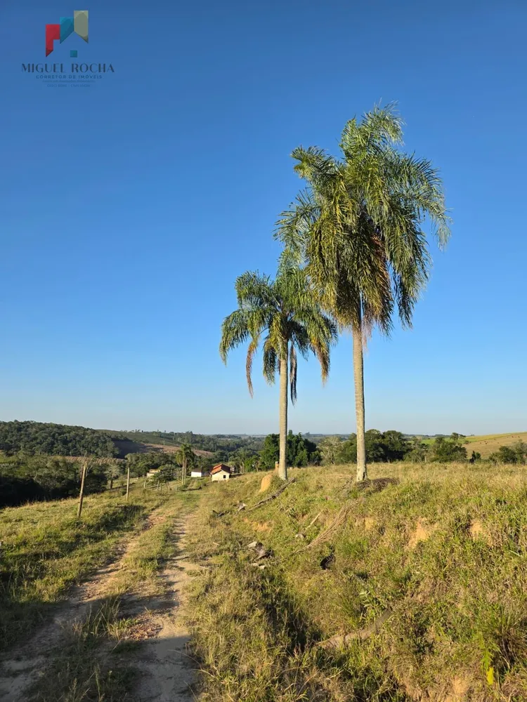Sítio, 2 quartos, 45 hectares - Foto 4
