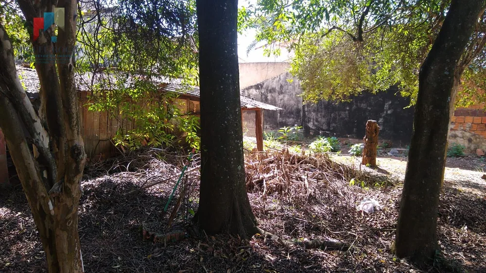 Chácara, 1 quarto, 1000 m² - Foto 11