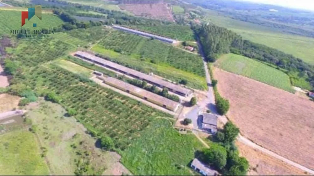 Sítio, 2 quartos, 17 hectares - Foto 4