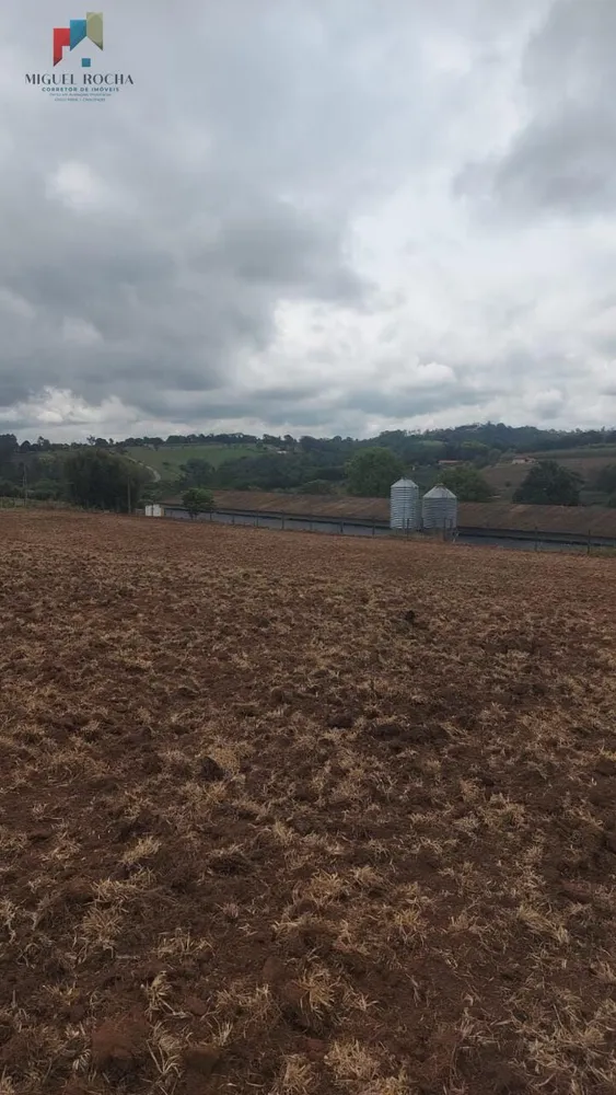 Sítio, 2 quartos, 17 hectares - Foto 1