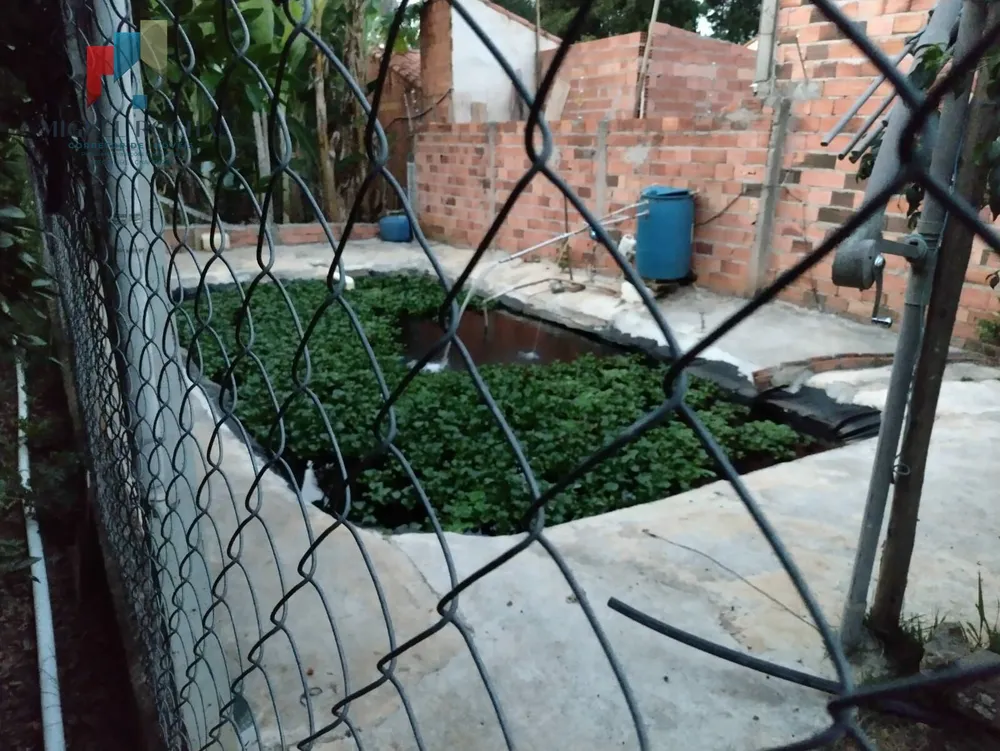 Chácara, 1 quarto, 800 m² - Foto 3