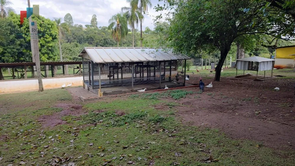 Fazenda, 123 hectares - Foto 10