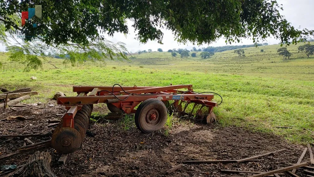 Fazenda, 123 hectares - Foto 9
