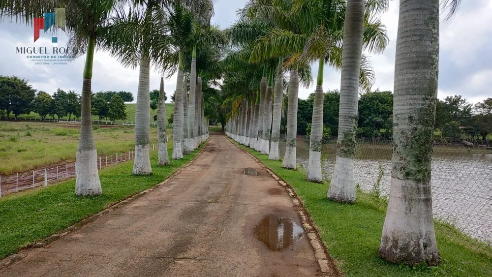 Fazenda, 123 hectares - Foto 1