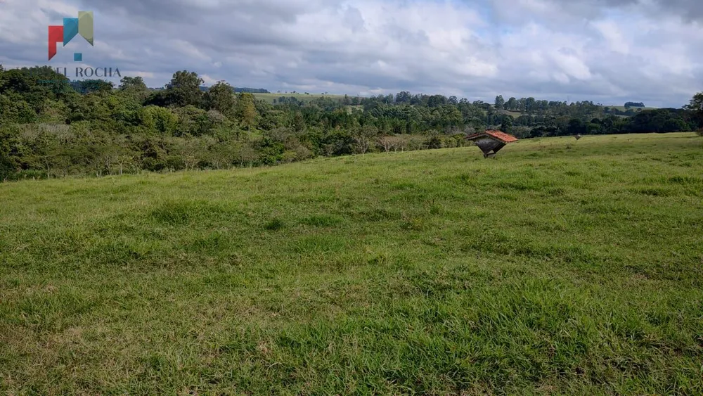Fazenda, 123 hectares - Foto 11