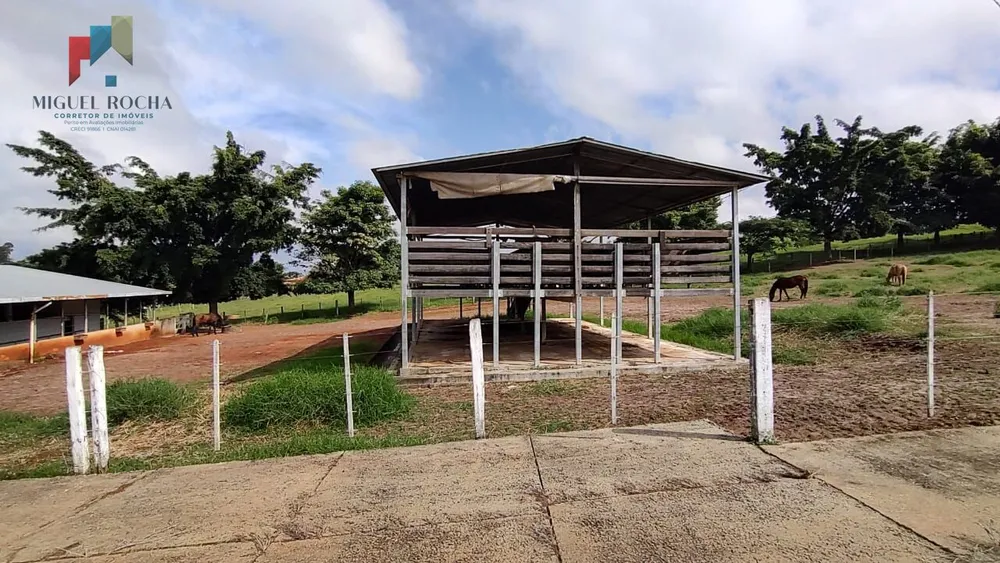 Fazenda, 123 hectares - Foto 12