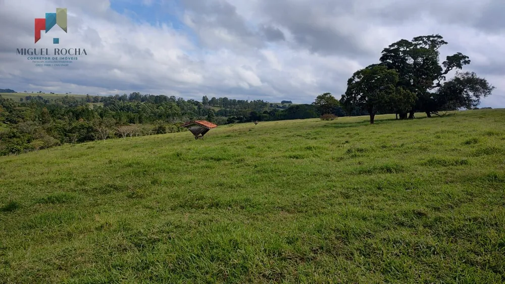 Fazenda, 123 hectares - Foto 7