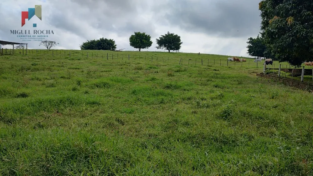 Fazenda, 123 hectares - Foto 8