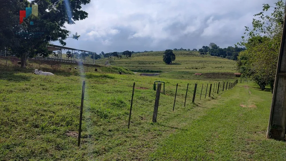Fazenda, 123 hectares - Foto 13