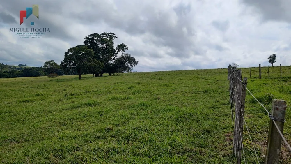 Fazenda, 123 hectares - Foto 14