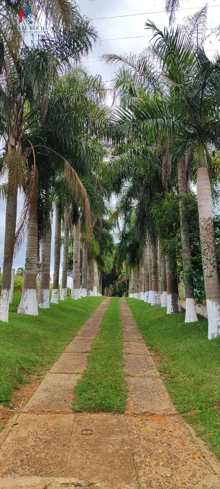 Sítio, 2 quartos, 43 hectares - Foto 1