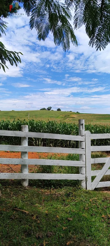 Sítio, 2 quartos, 43 hectares - Foto 10
