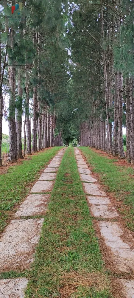 Sítio, 2 quartos, 43 hectares - Foto 2