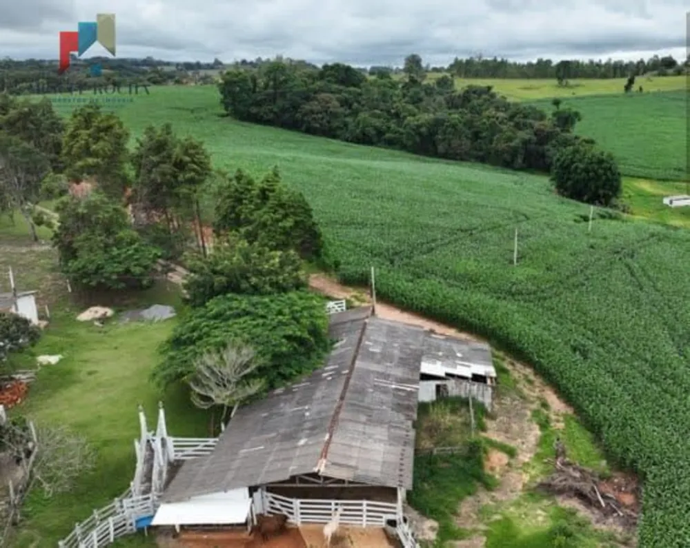 Sítio, 2 quartos, 43 hectares - Foto 3