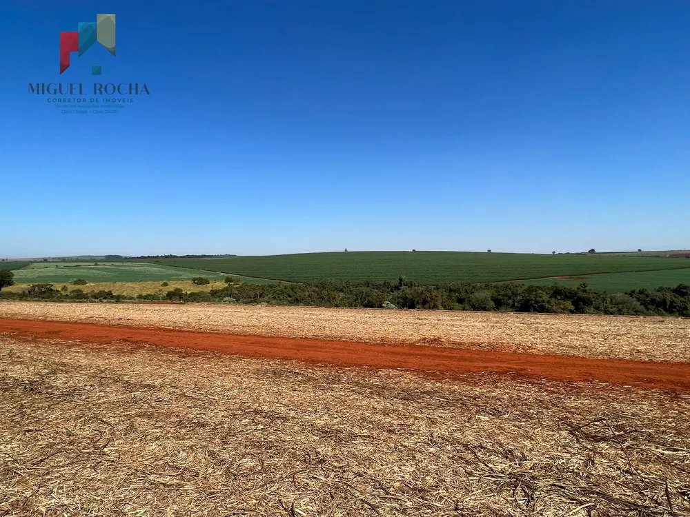 Fazenda, 453 hectares - Foto 2
