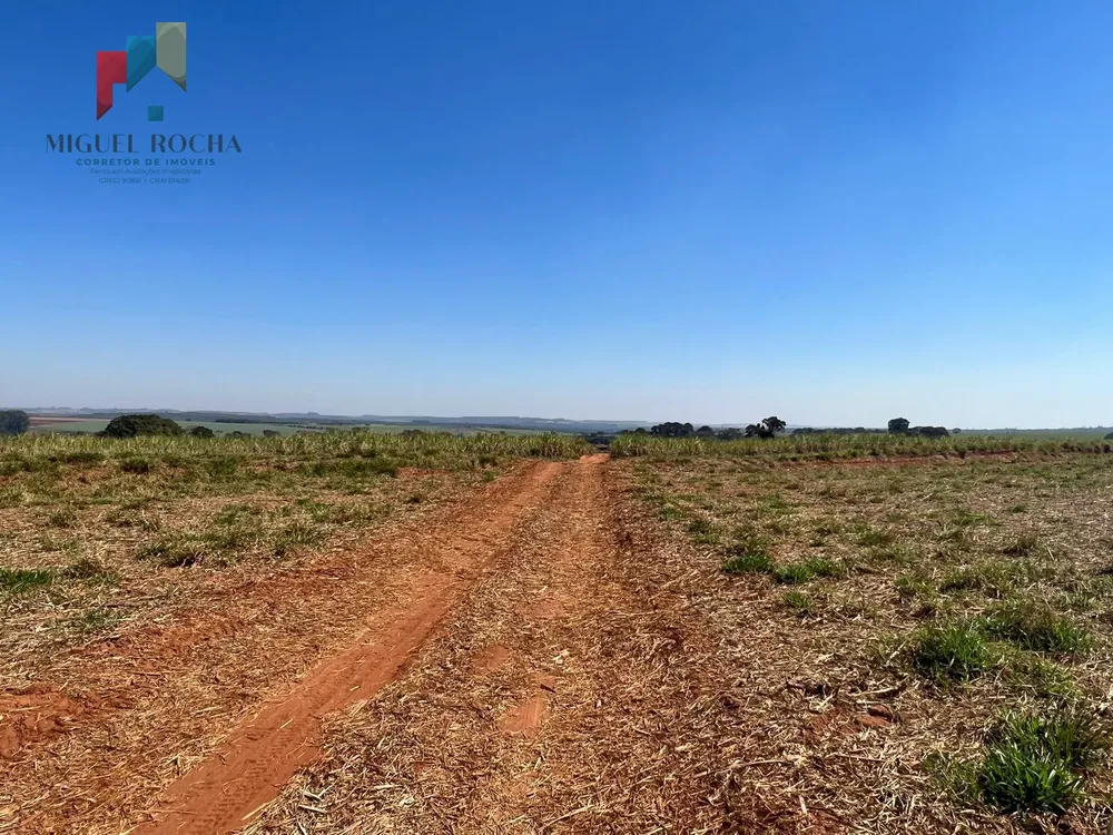 Fazenda, 453 hectares - Foto 4