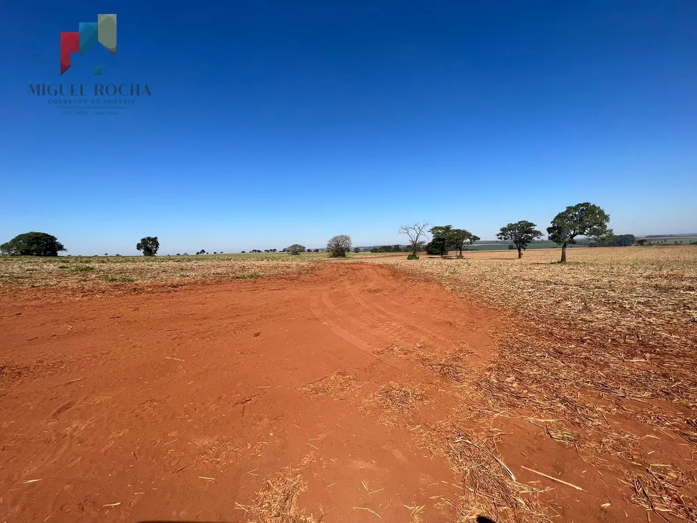 Fazenda, 453 hectares - Foto 6