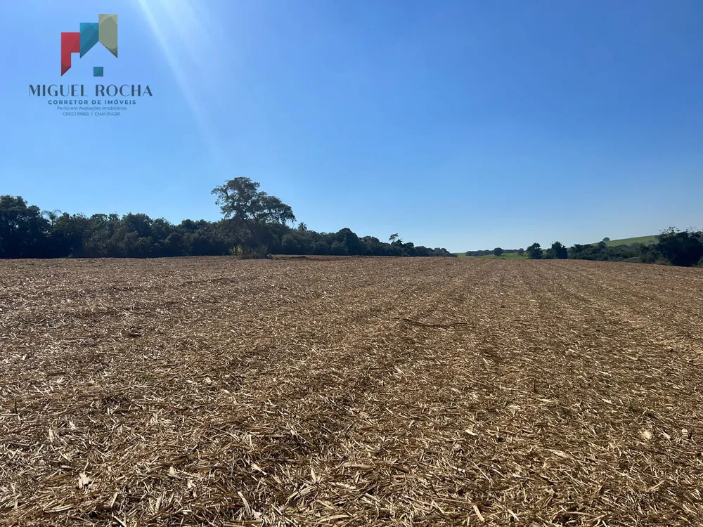Fazenda, 453 hectares - Foto 3