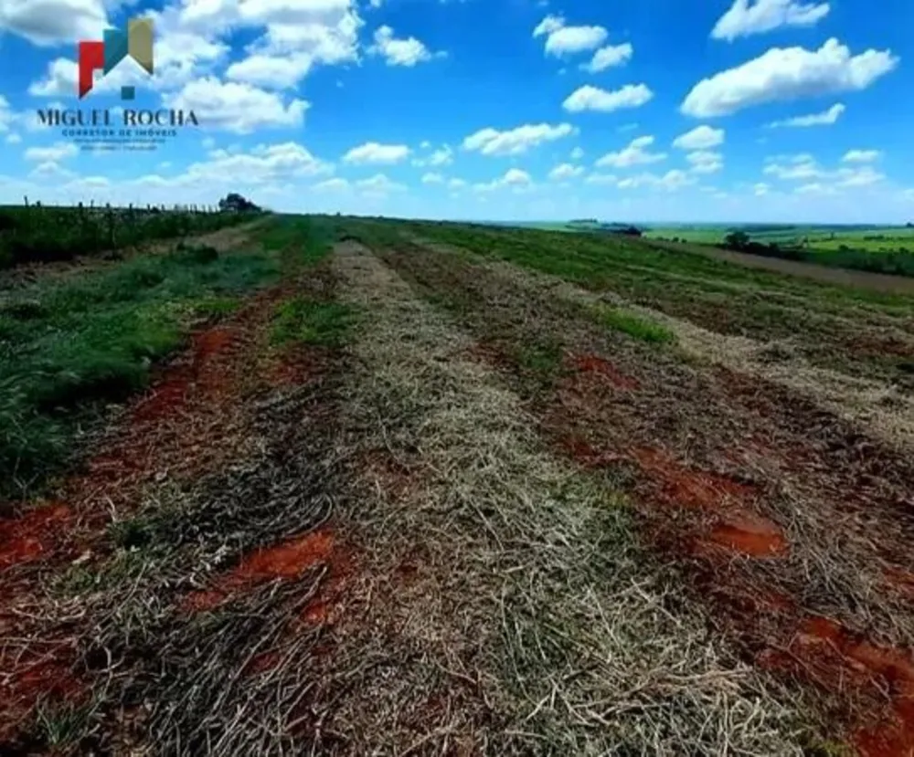 Sítio, 1 quarto, 198 hectares - Foto 6