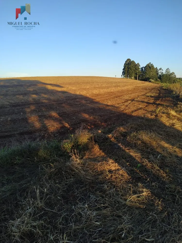 Sítio, 1 quarto, 198 hectares - Foto 1