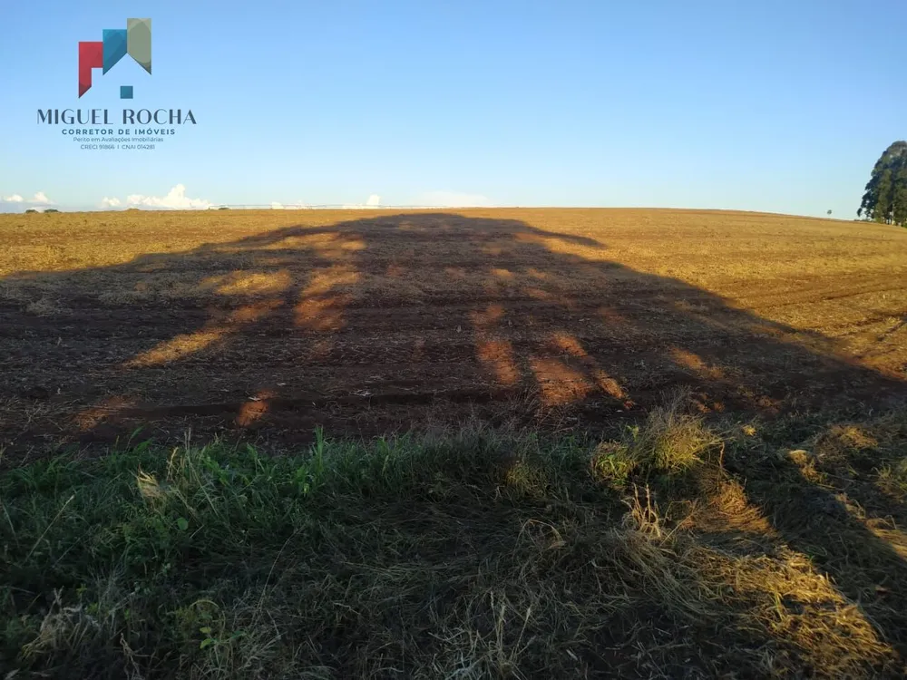 Sítio, 1 quarto, 198 hectares - Foto 4