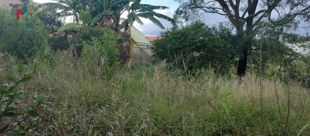 Terreno, 1000 m² - Foto 3