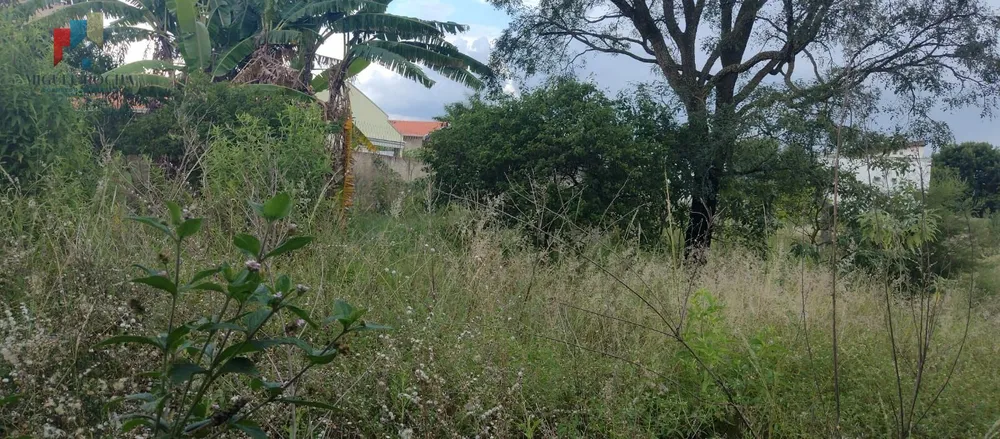 Terreno, 1000 m² - Foto 2