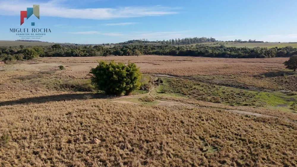 Fazenda, 61 hectares - Foto 4