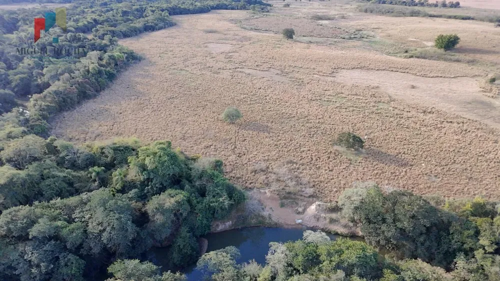 Fazenda, 61 hectares - Foto 15