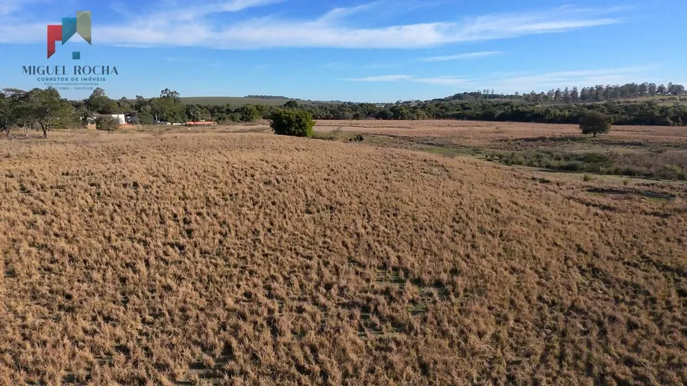 Fazenda, 61 hectares - Foto 14